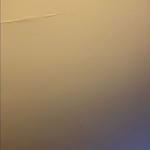 Meet your Posher, Tameka